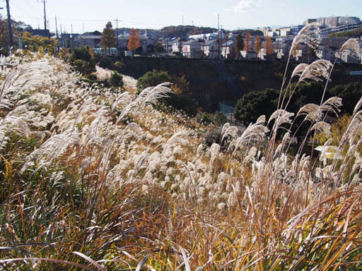 e0125894_22284148.jpg