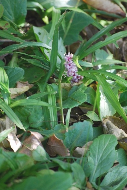 e0025300_1321027.jpg