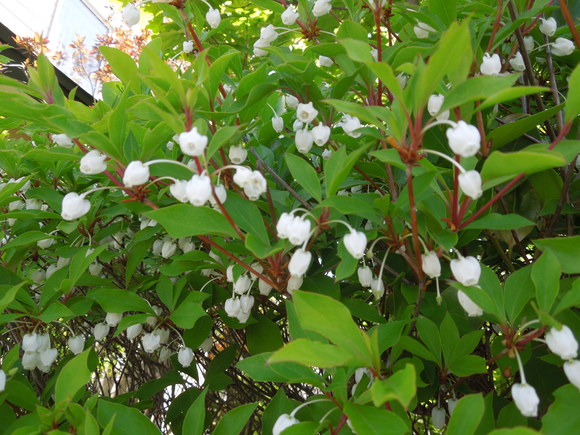 a0292602_23415370.jpg
