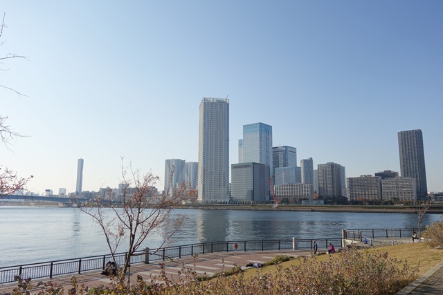 a0167803_19145518.jpg