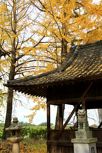 b0014607_21421915.jpg