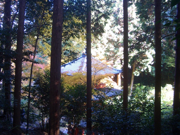 e0033713_18072110.jpg
