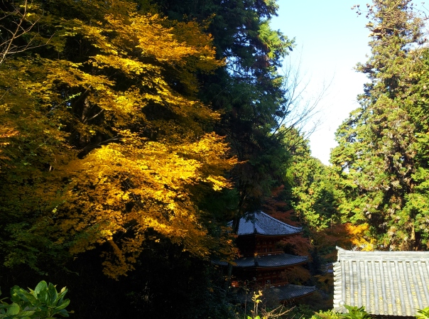 e0033713_18094556.jpg