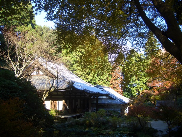 e0033713_18242354.jpg
