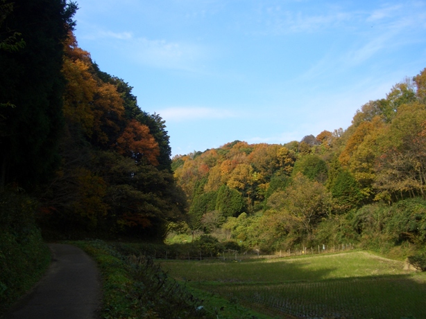 e0033713_18273085.jpg