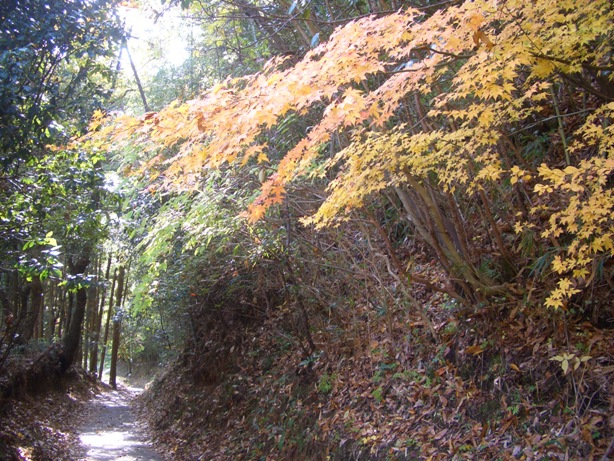 e0033713_18402895.jpg