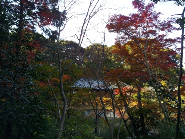 e0033713_19390490.jpg