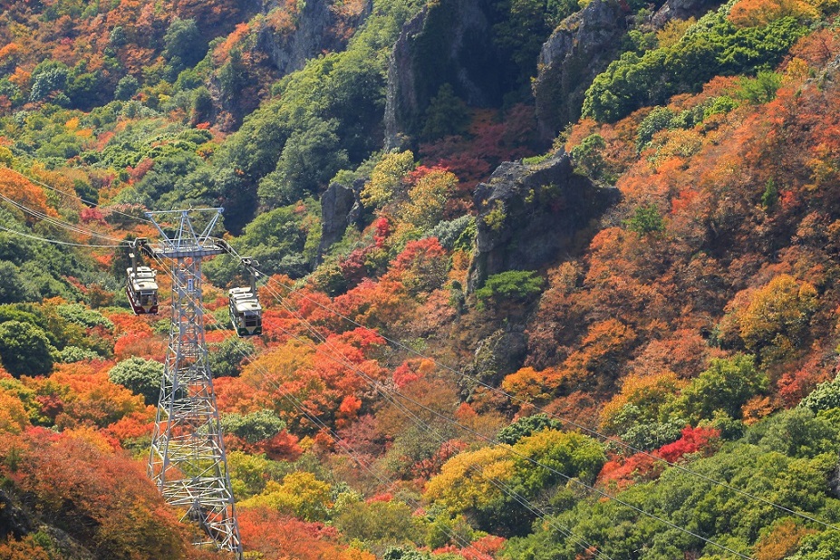 b0269618_2234092.jpg