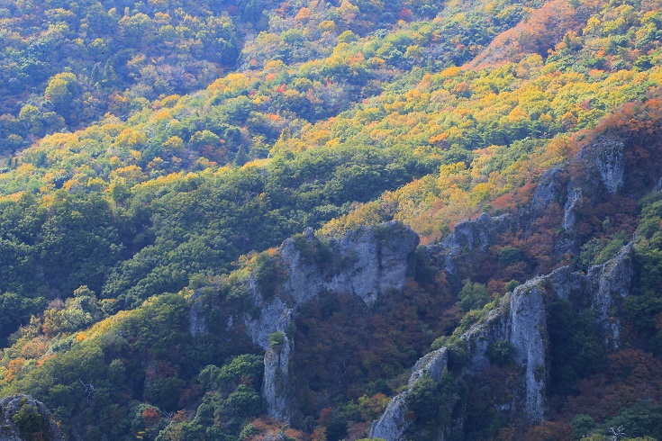 b0269618_2234773.jpg