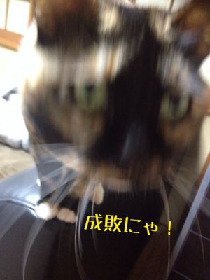 a0027720_2205586.jpg