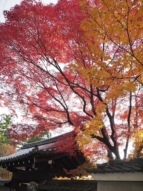 f0231829_2255061.jpg