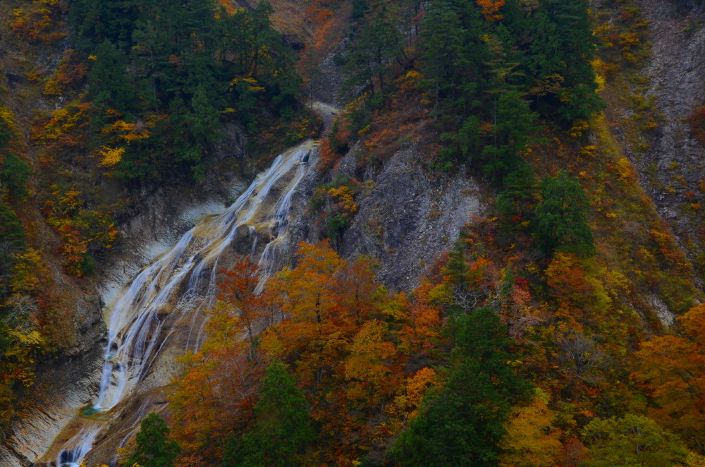 a0287533_20314969.jpg