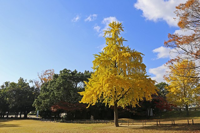 a0242438_18462084.jpg
