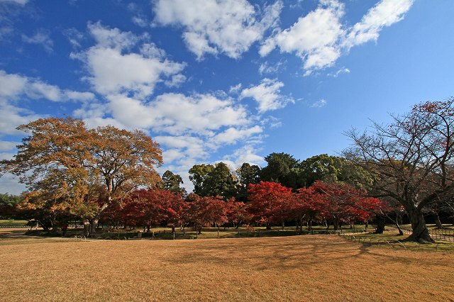 a0242438_18463237.jpg