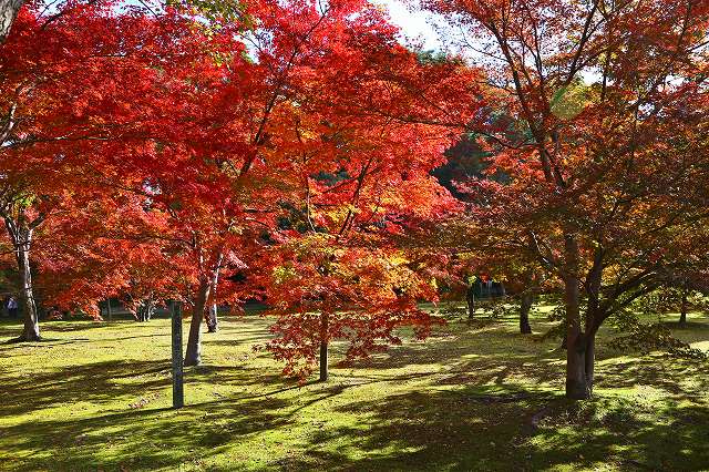 a0242438_18474433.jpg