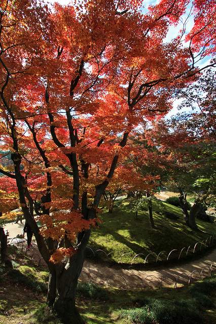 a0242438_18482558.jpg