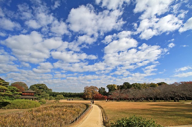 a0242438_18485174.jpg
