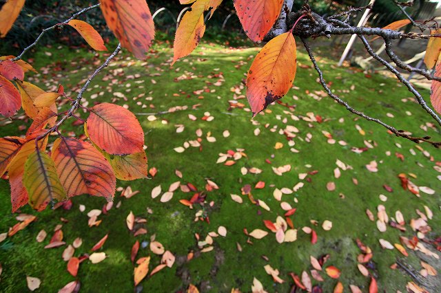 a0242438_18485679.jpg