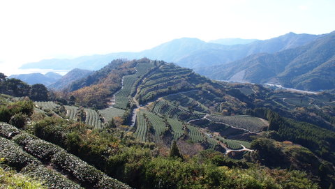 b0199742_20594968.jpg