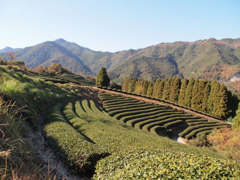 b0199742_2181214.jpg