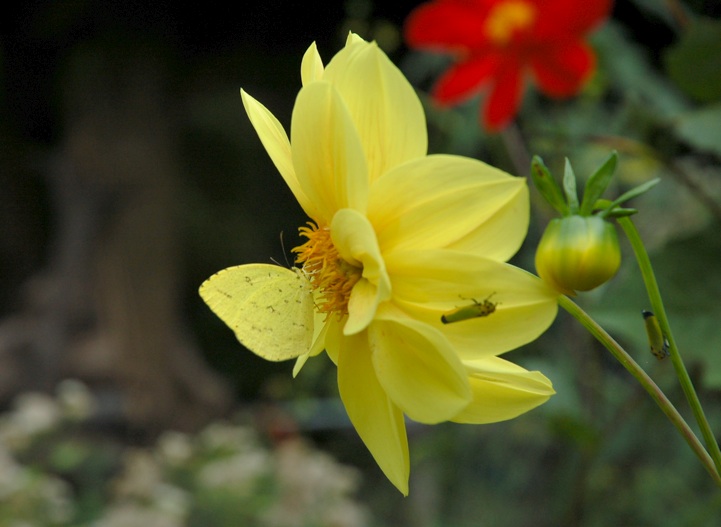c0002943_1545543.jpg
