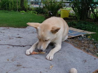 f0195543_05241.jpg