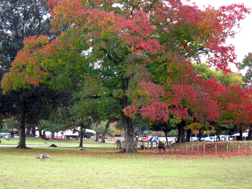 f0166645_2072566.jpg