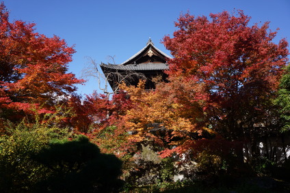 c0190847_21163936.jpg