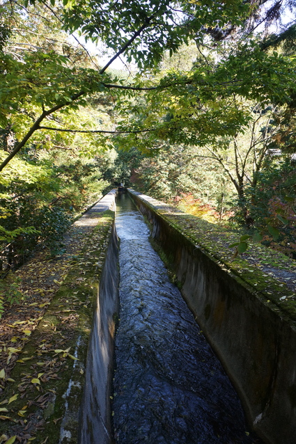 c0190847_2116631.jpg