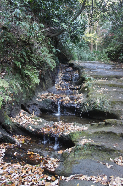 a0046748_21224936.jpg