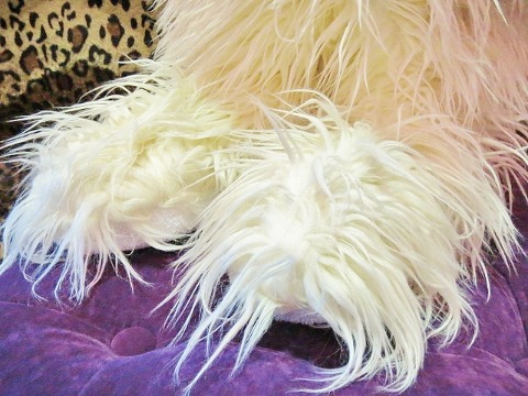 a0159652_1631259.jpg