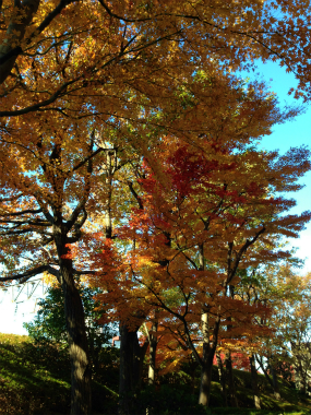 c0089360_21544112.jpg