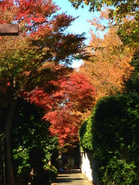 c0089360_2155969.jpg