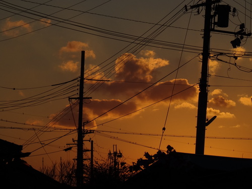 c0108460_1853476.jpg