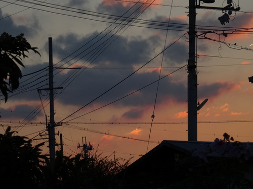 c0108460_185552.jpg