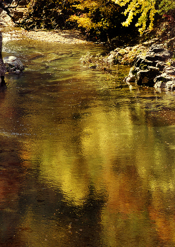 a0208066_19274556.jpg