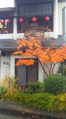 b0164670_1403856.jpg