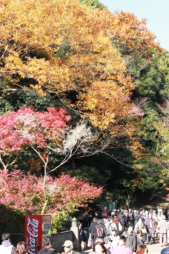 e0272870_2157477.jpg