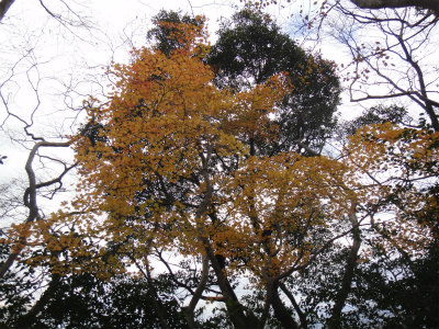 d0182075_1764450.jpg