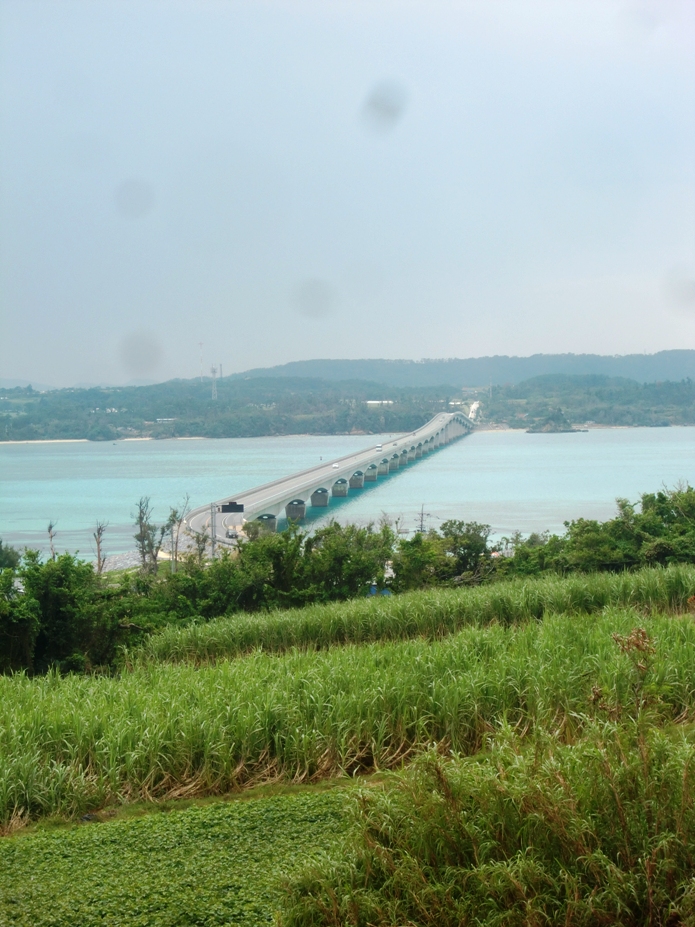 f0238779_11484370.jpg