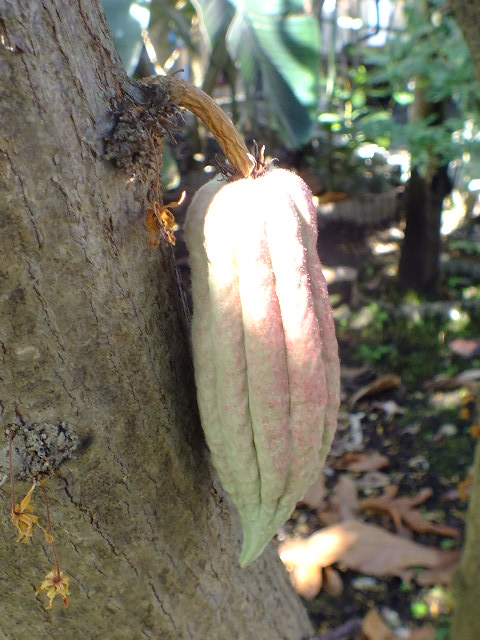 e0145782_6522932.jpg