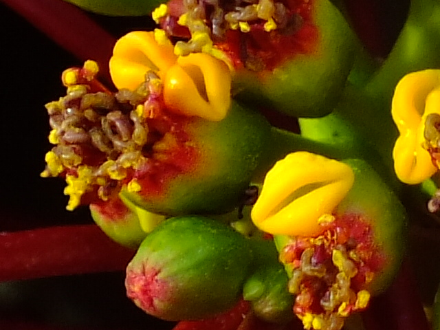 e0145782_657646.jpg