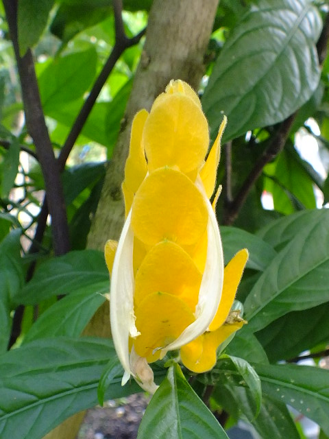 e0145782_6581029.jpg