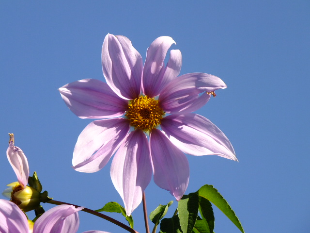 e0145782_765250.jpg