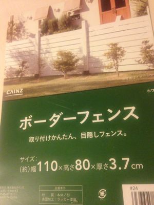 c0198485_5281673.jpg