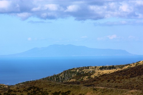 c0204385_21364456.jpg
