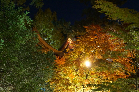 d0176186_14074.jpg