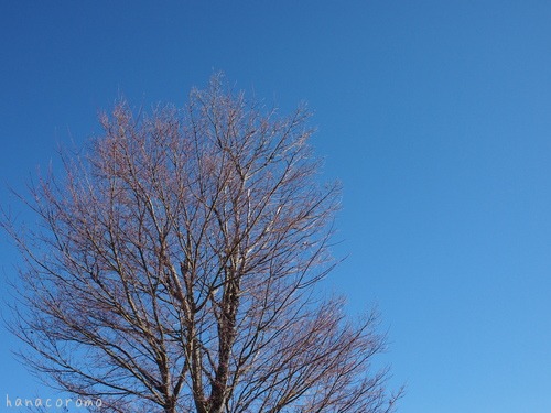 e0211786_1636134.jpg
