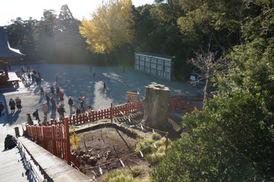 c0039487_23103265.jpg