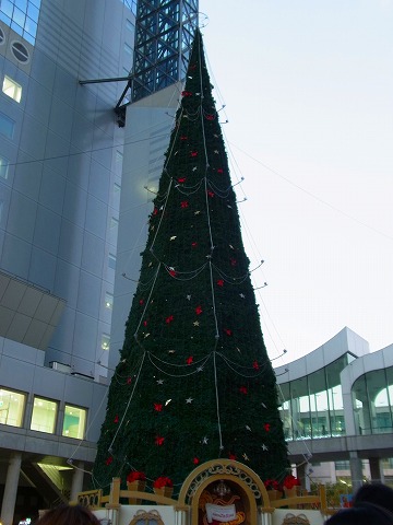 a0152391_201940100.jpg